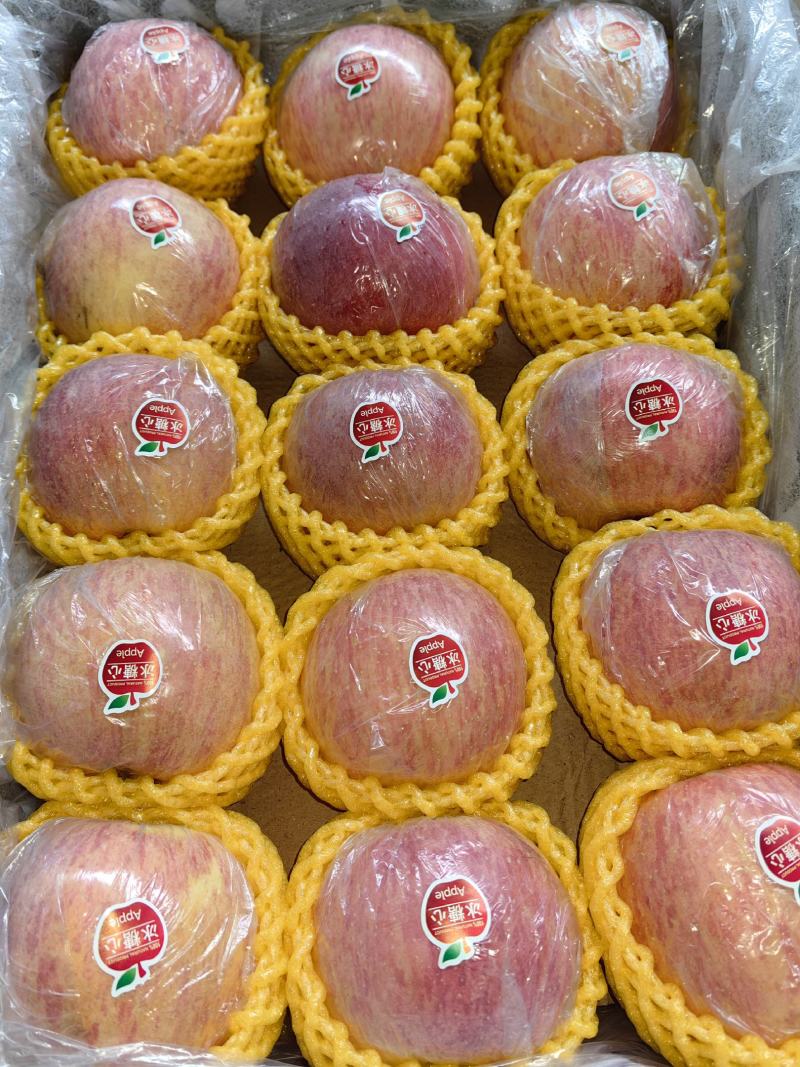 精品红香酥，大酥梨，玉露香