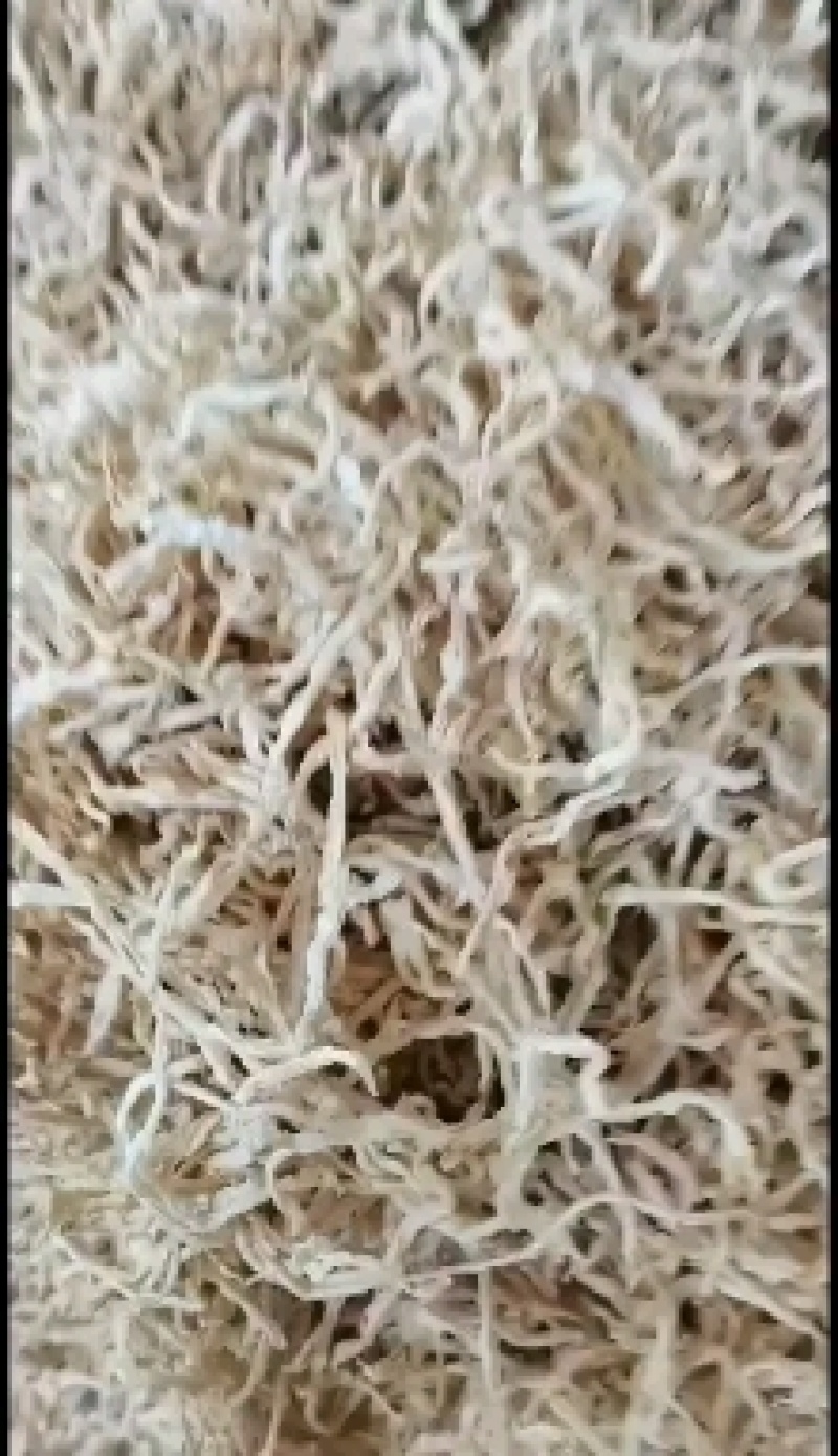 萝卜丝6x6大量出货量大从优欢迎来电咨询选购