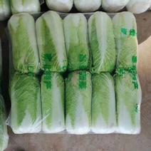 北京三号大白菜纯净菜大量供应出售中质量上乘