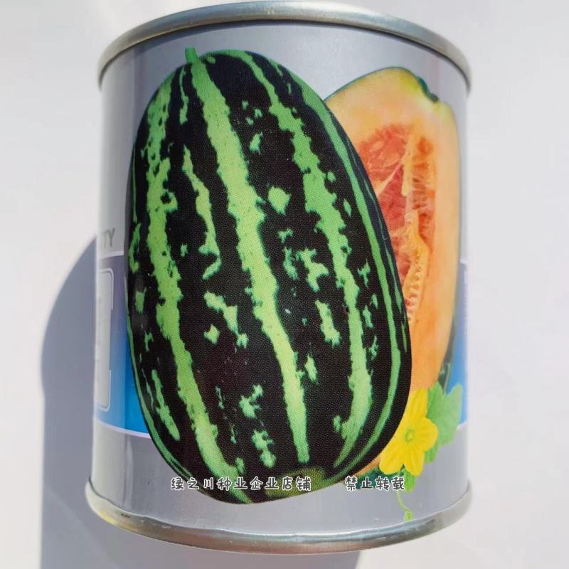 蜜罐薄皮甜瓜种子红道边冰糖子甜瓜种子果肉红色甜脆