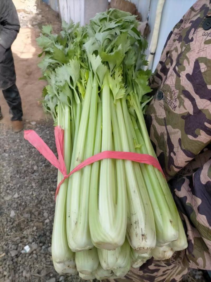 芹菜