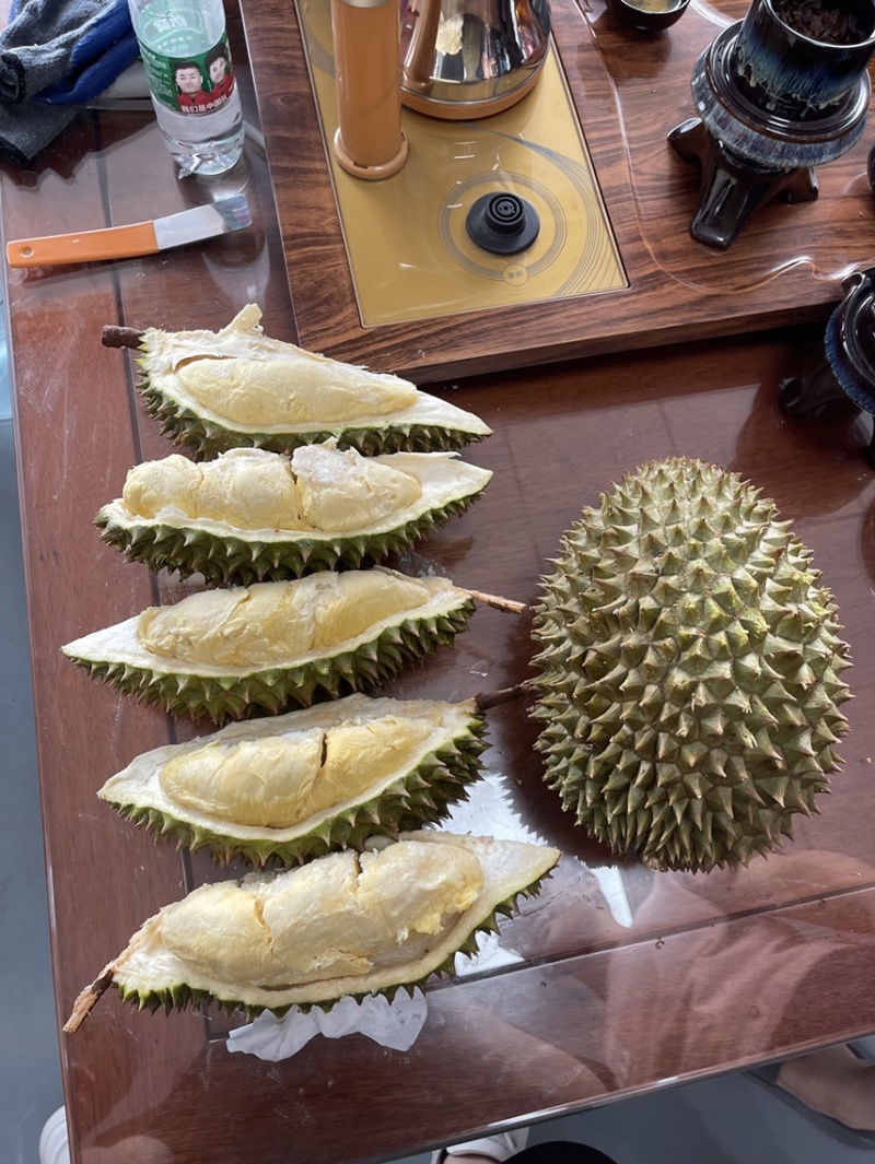 液氮金枕榴莲金枕巴掌电商供货液氮青尼液氮托曼尼都有现货