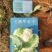 精品松花
