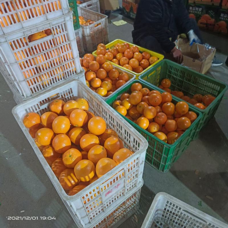 🅰秭归脐橙脐橙皮薄汁水饱满口感纯甜