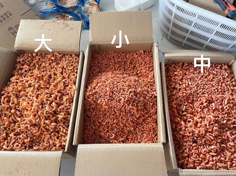 沾化即食金钩米海米水饺米工厂加工直供批发