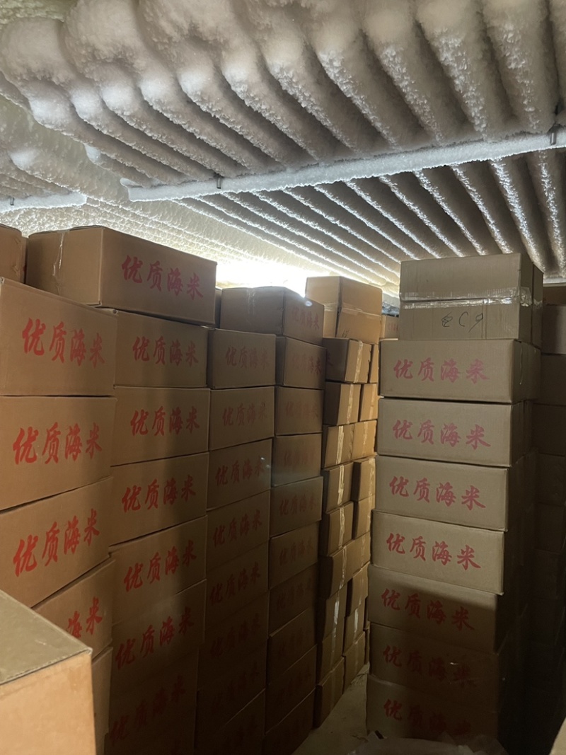 沾化即食金钩米海米水饺米工厂加工直供批发