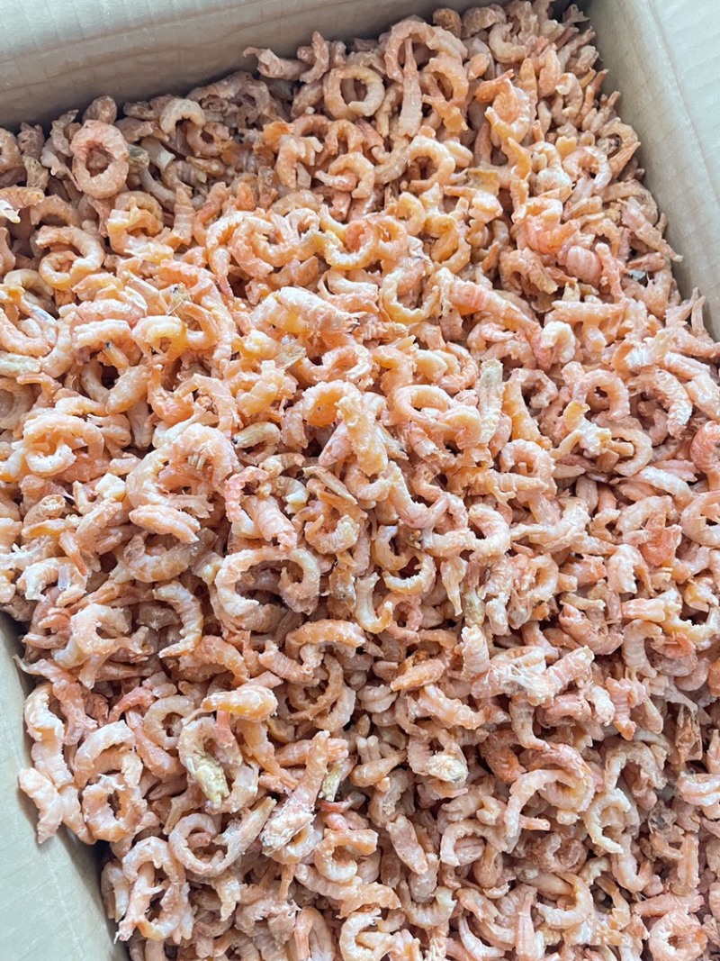 沾化即食金钩米海米水饺米工厂加工直供批发