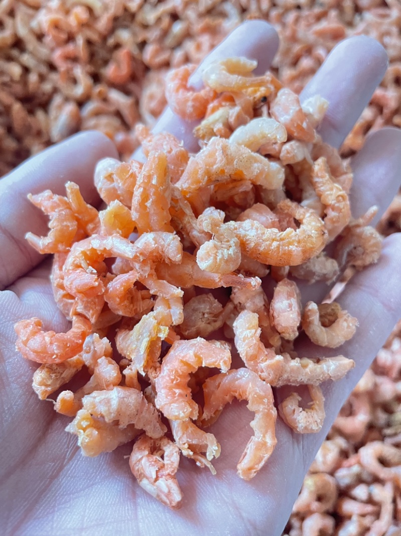 沾化即食金钩米海米水饺米工厂加工直供批发