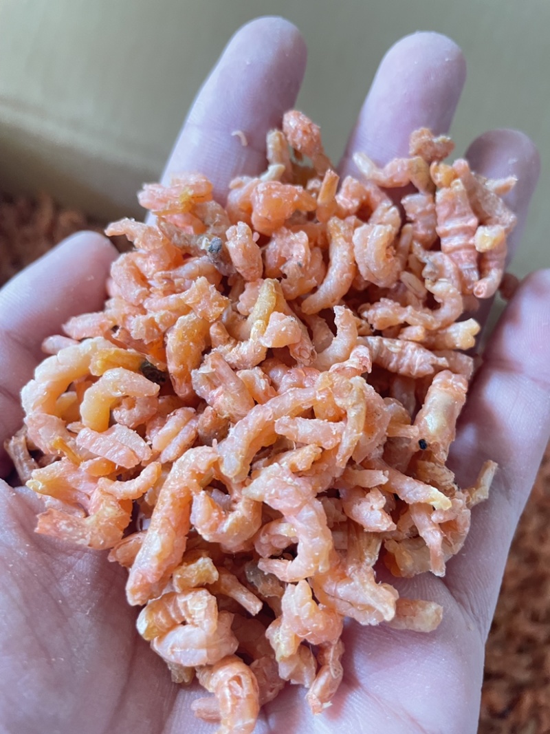 沾化即食金钩米海米水饺米工厂加工直供批发