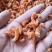 沾化即食金钩米海米水饺米工厂加工直供批发