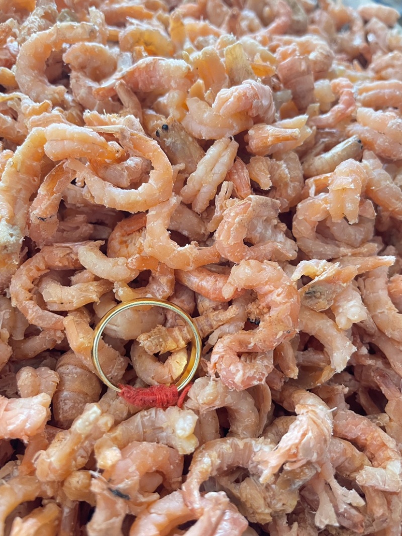沾化即食金钩米海米水饺米工厂加工直供批发