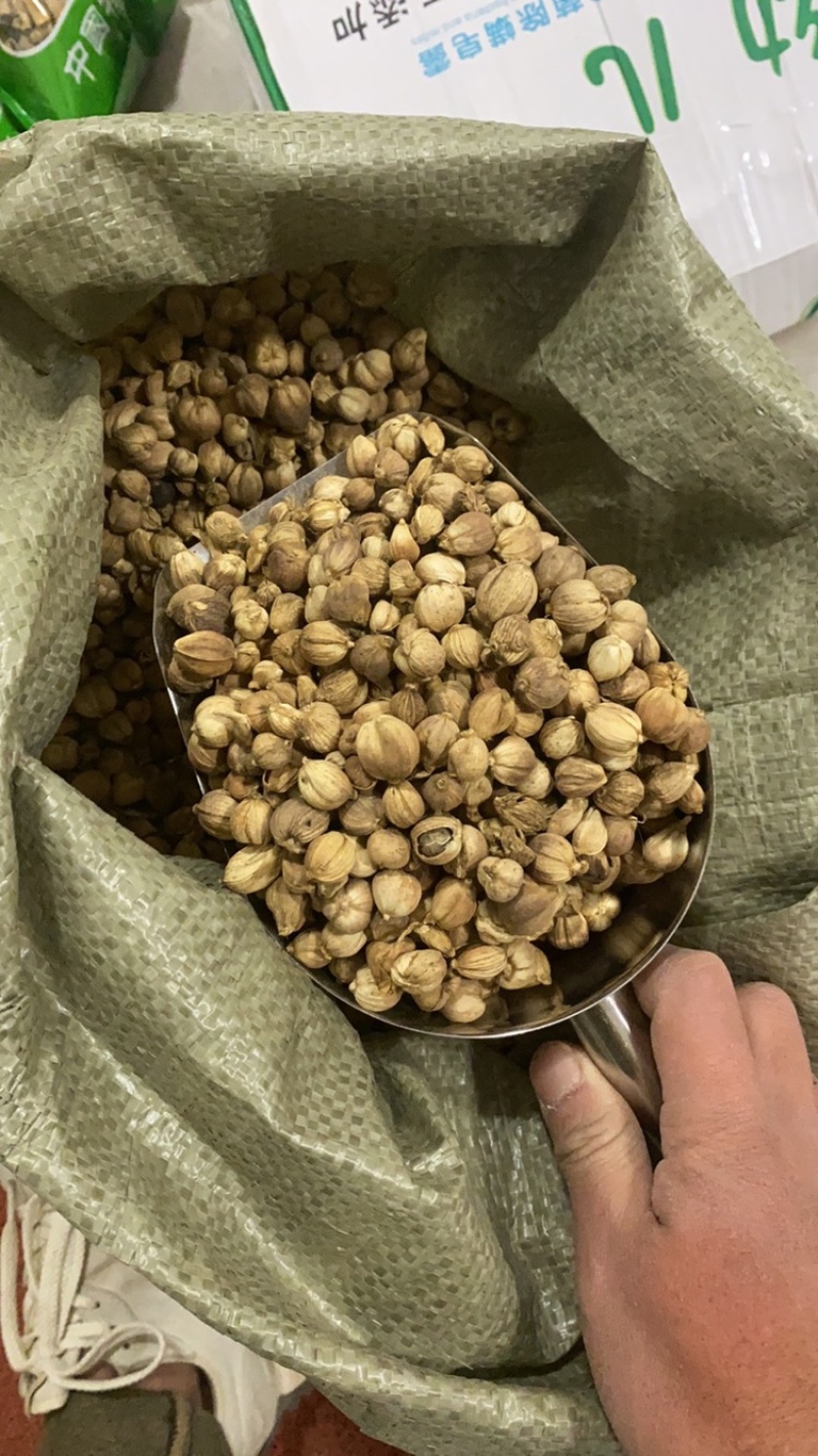 中药材白豆蔻精品水洗无杂质现货供应一公斤起批