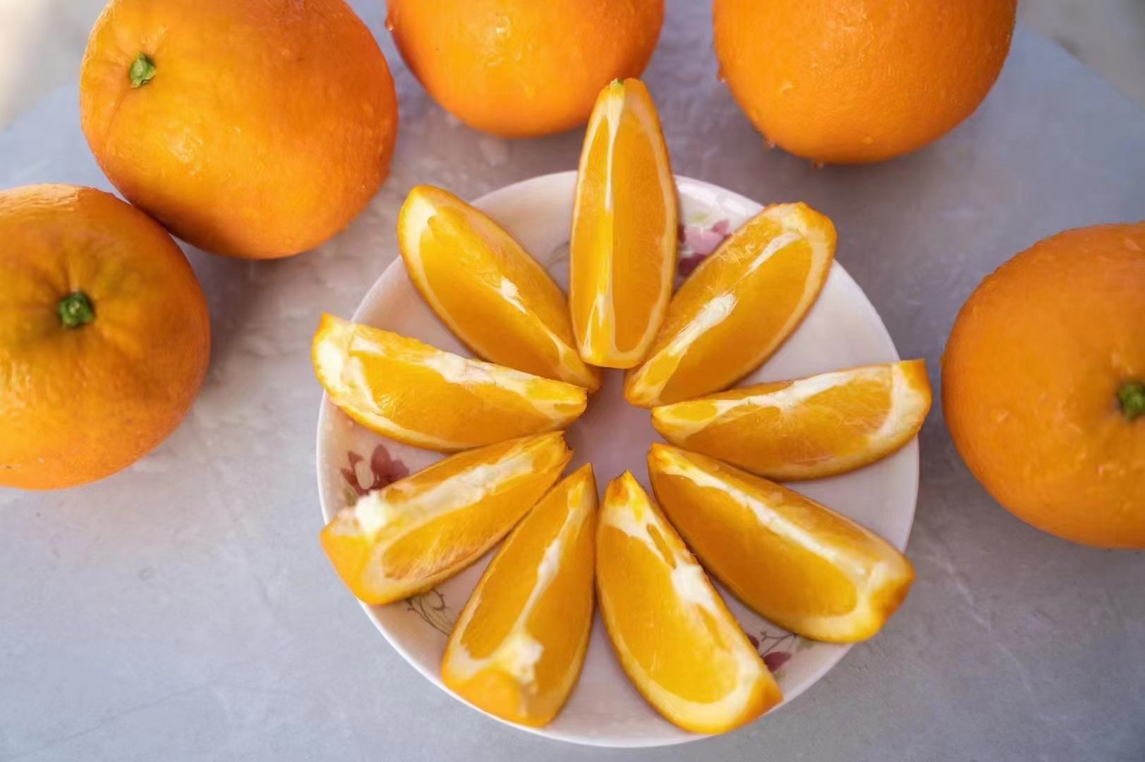 红心脐橙果盘与果汁特写