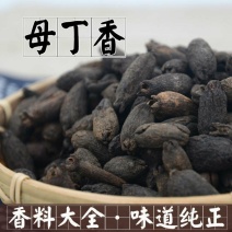 母丁香香味浓郁中药材香料炖肉卤菜调料包邮