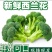 西兰花优质西兰花个头均匀颜色深绿色花球高圆型