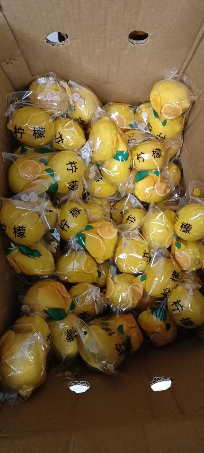 代办海南黄柠檬量大可商议改价可整车零担配送到物流专线