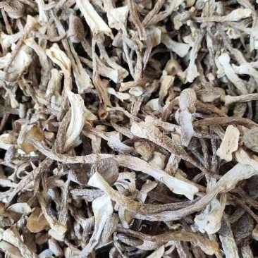 精品鹿茸菇，大量有货，品质保证产地直发，可视频看货