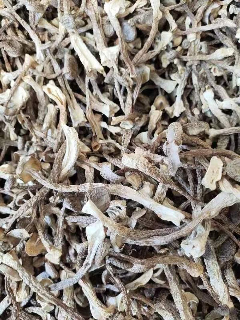 精品鹿茸菇，大量有货，品质保证产地直发，可视频看货
