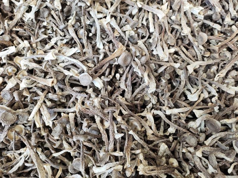 精品鹿茸菇，大量有货，品质保证产地直发，可视频看货
