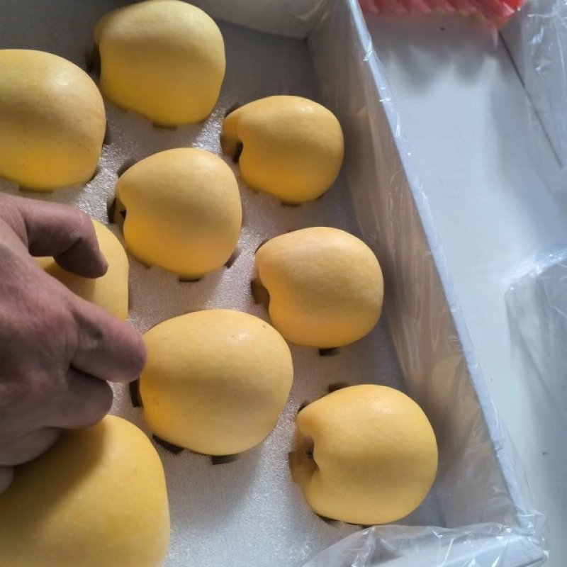 维纳斯苹果70/75有货！