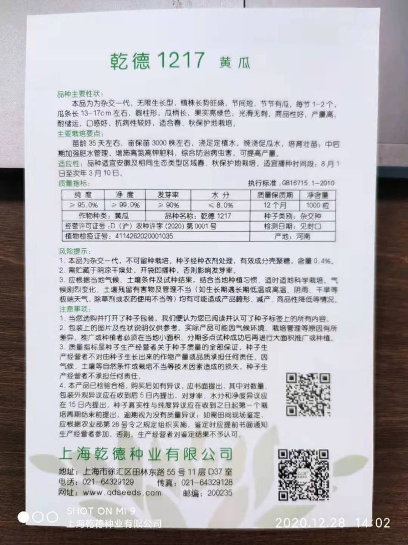 【包邮】乾德1217无刺水果黄瓜春秋越冬茬口栽培