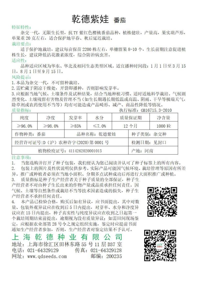 乾德紫娃紫红色樱桃番茄种子早春秋延茬口栽培