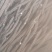 一年生选断: