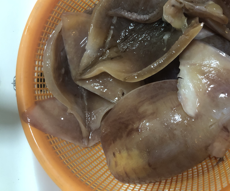 越南黑鱿鱼