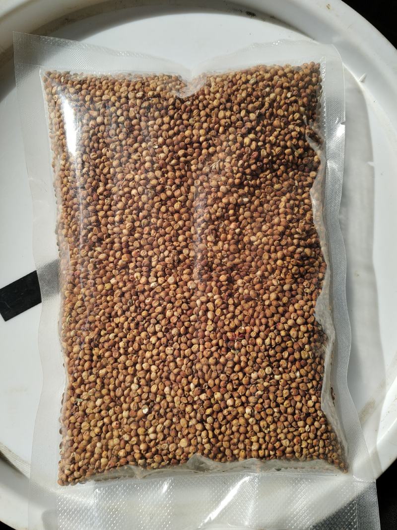 工厂直销，酿酒缨子高粱，各种糯高粱，梗高粱，