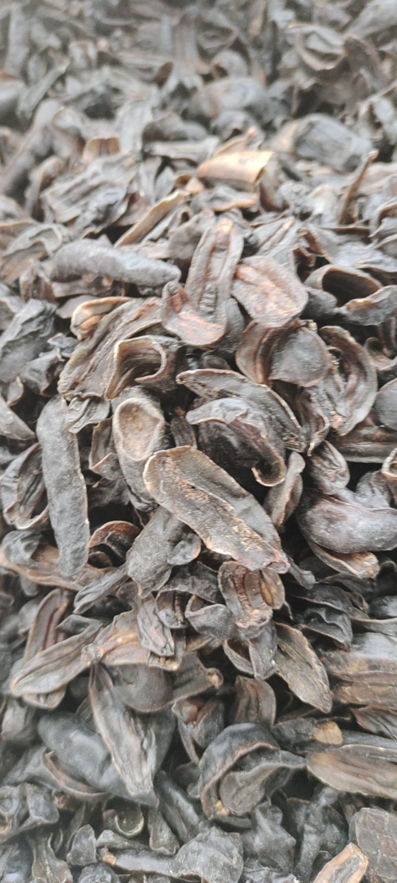 蛞蝓鼻涕虫，中药材，量大从优，一手货源，欢迎采购