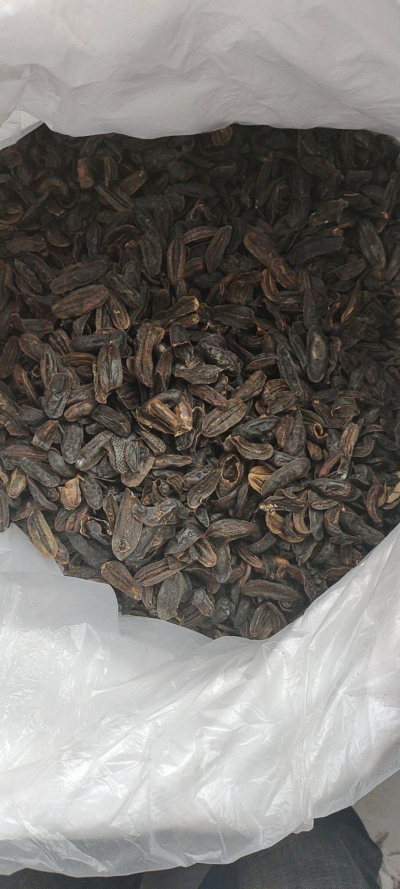 蛞蝓鼻涕虫，中药材，量大从优，一手货源，欢迎采购
