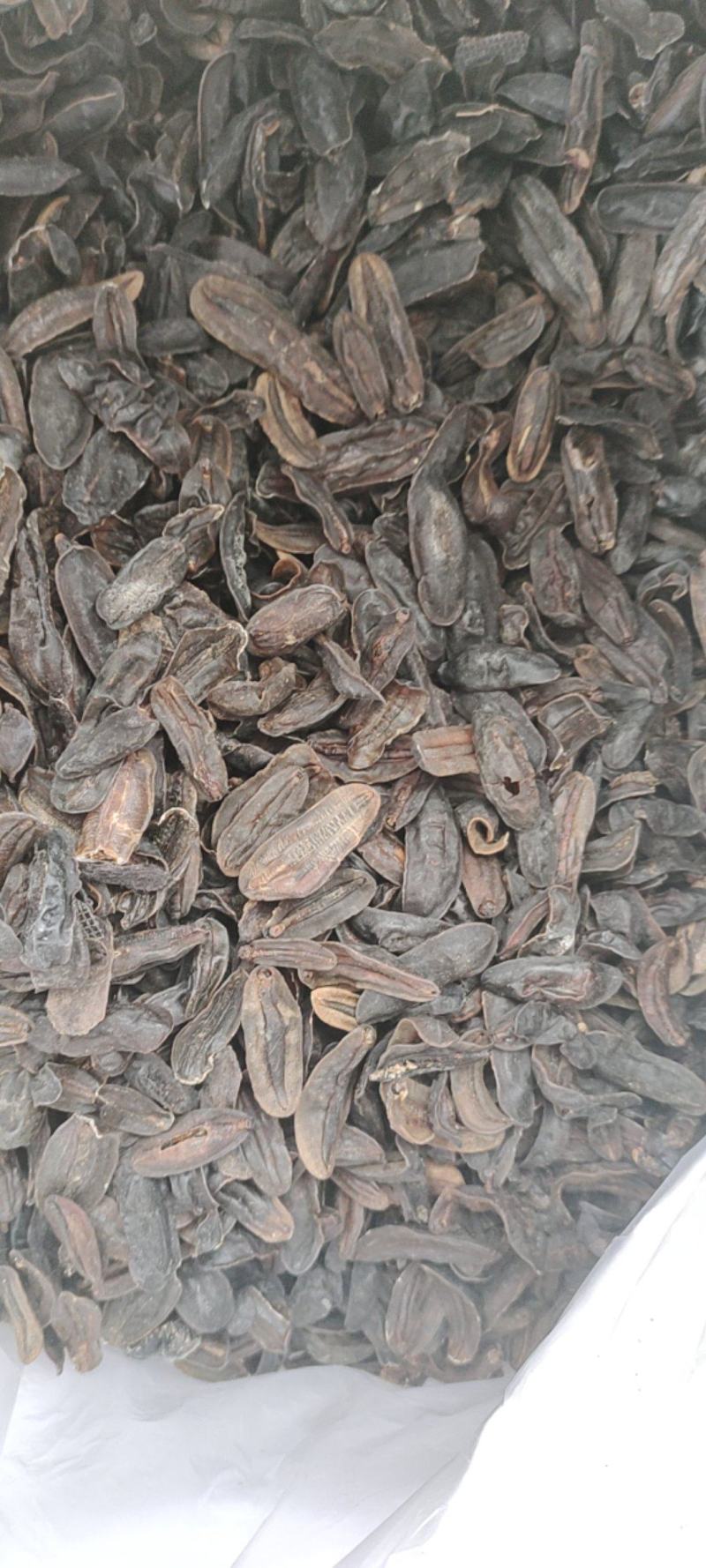 蛞蝓鼻涕虫，中药材，量大从优，一手货源，欢迎采购