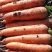 优质：胡萝卜