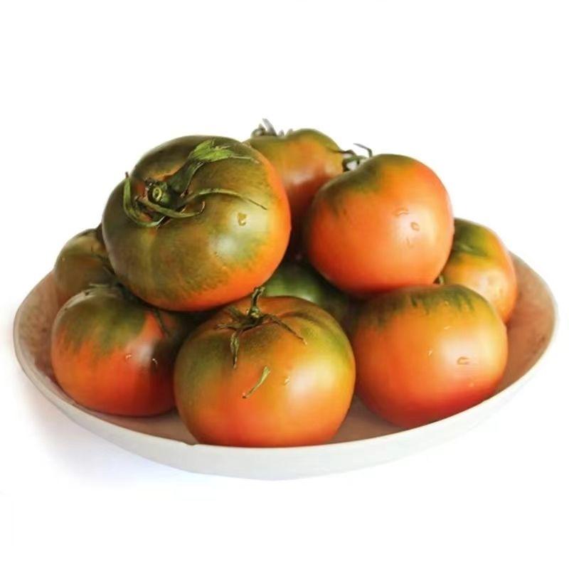 草莓柿子山东寿光产地直发酸甜可口草莓番茄