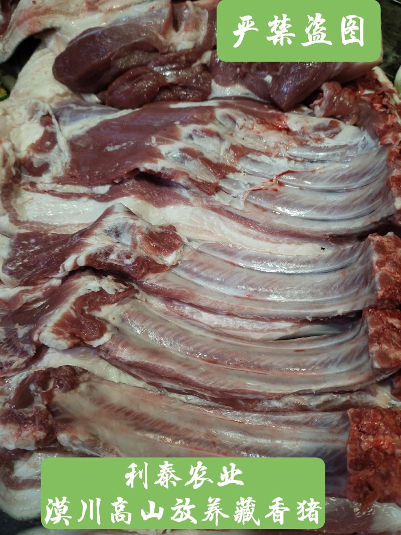 兴安漠川放养藏香猪肉、香猪肉、山猪肉、黑猪、土猪肉