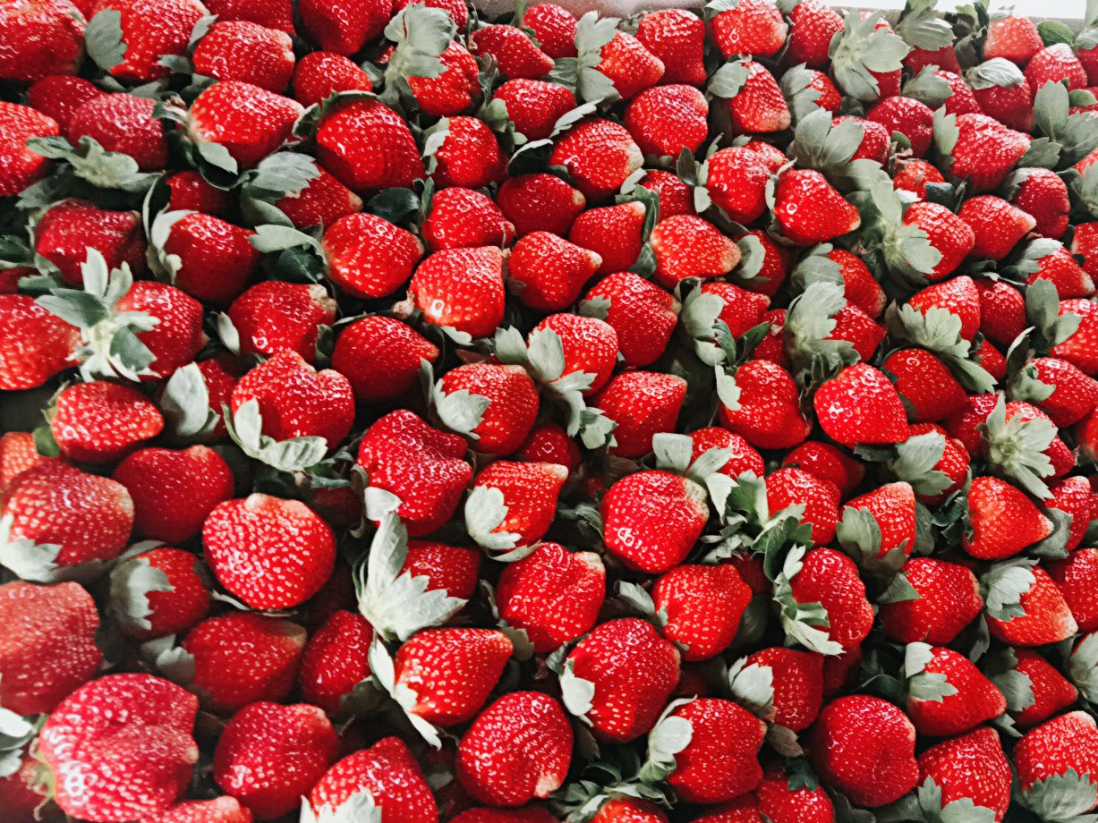 甜查理草莓果实特写图