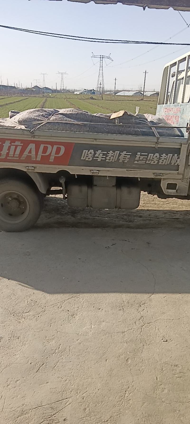 基地发货优质圣女果贝贝，口感好价格合理。