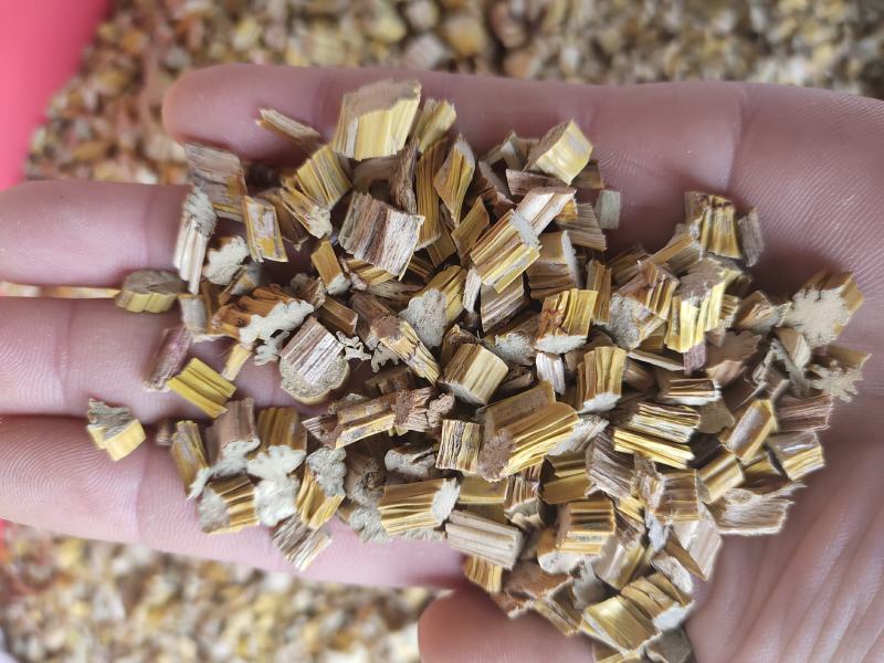 石斛黄草一手货源量大从优欢迎采购下单
