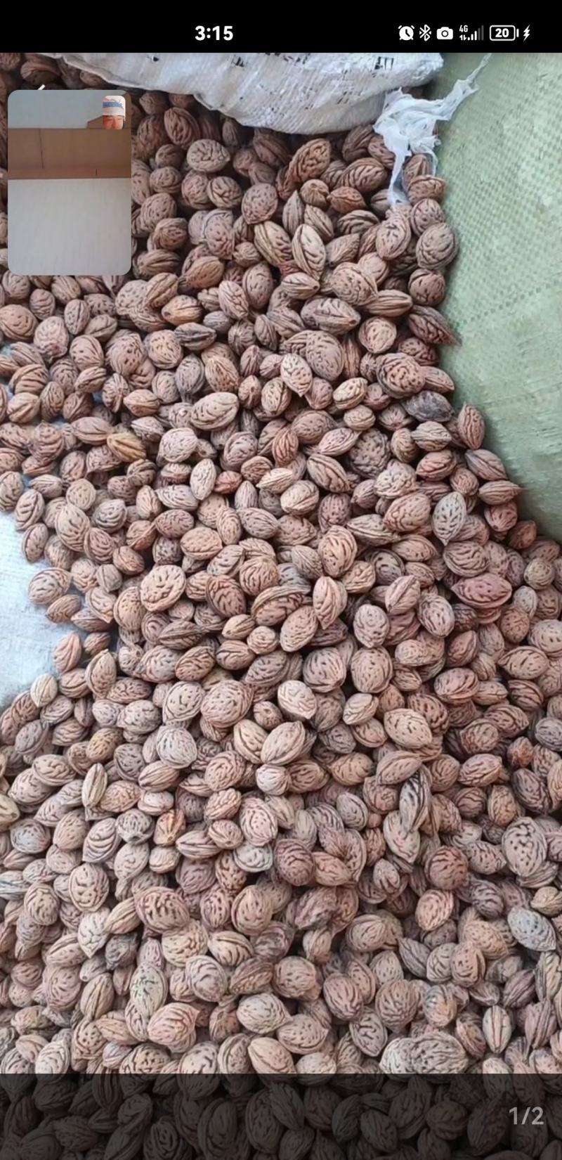 桃核，出仁率高，欢迎来电咨询.…………联系我时，说是在