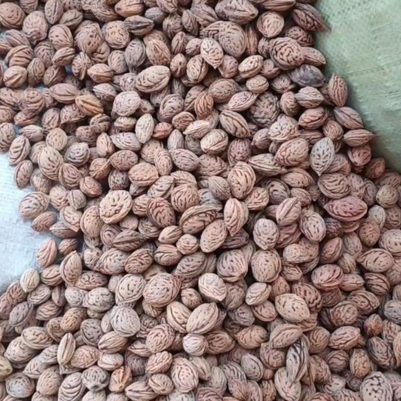 桃核，出仁率高，欢迎来电咨询.…………联系我时，说是在