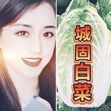 陕西汉中优质白菜】义和秋大白菜:产地直发：全国发货(现货