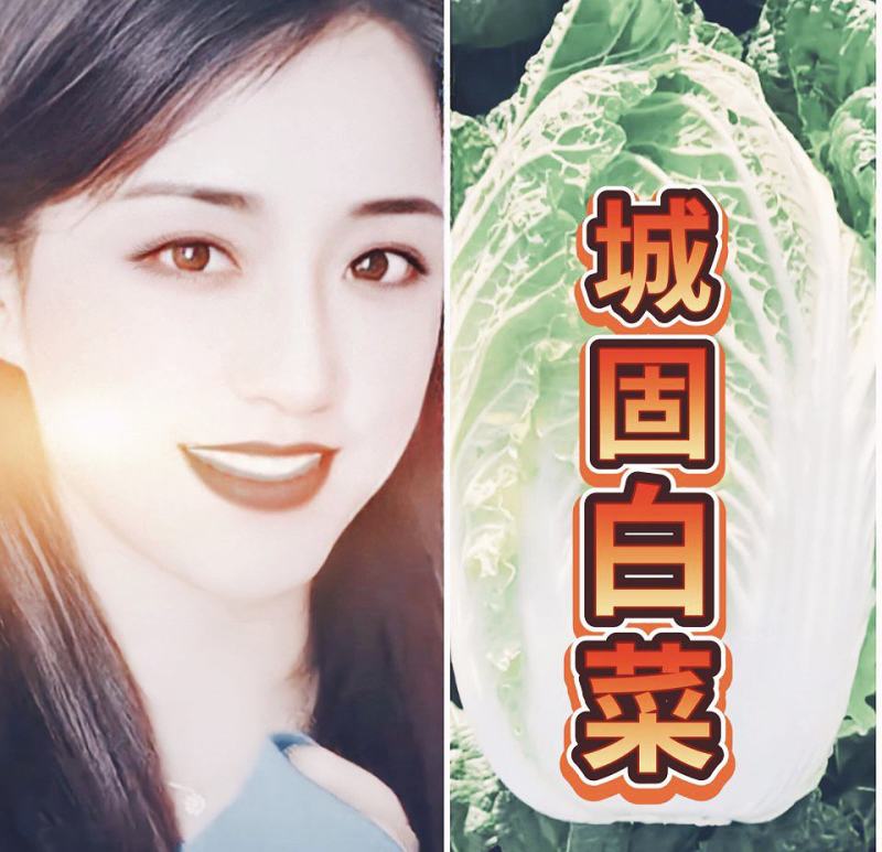 陕西汉中优质白菜】义和秋大白菜:产地直发：全国发货(现货