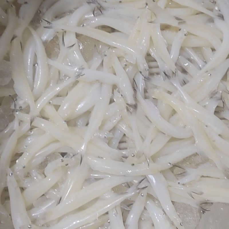 10公分以上的淡水银鱼