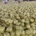 红柚，精品果1.6一3.5斤货好货多，量大从优，基地直供