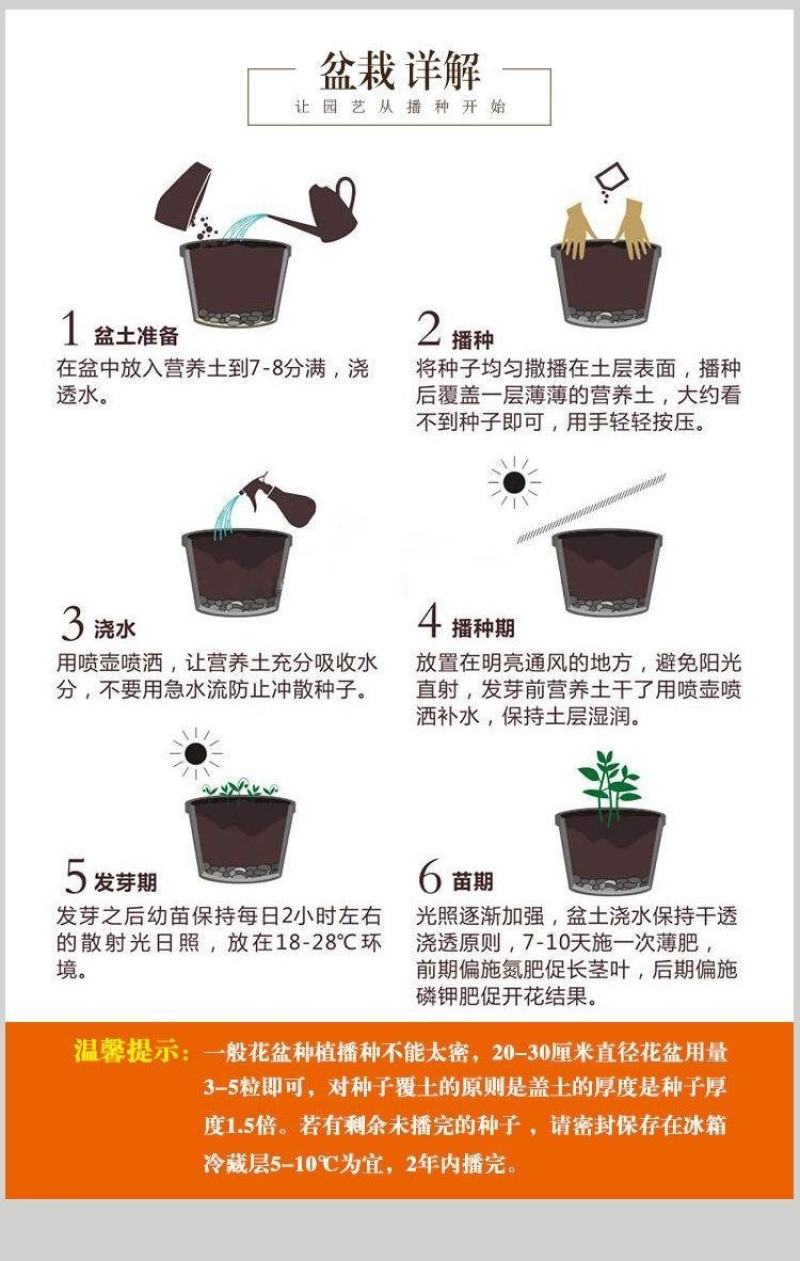 拧条草种子白毛条进口牧草畜牧养殖白柠条锦鸡儿种籽护坡草籽