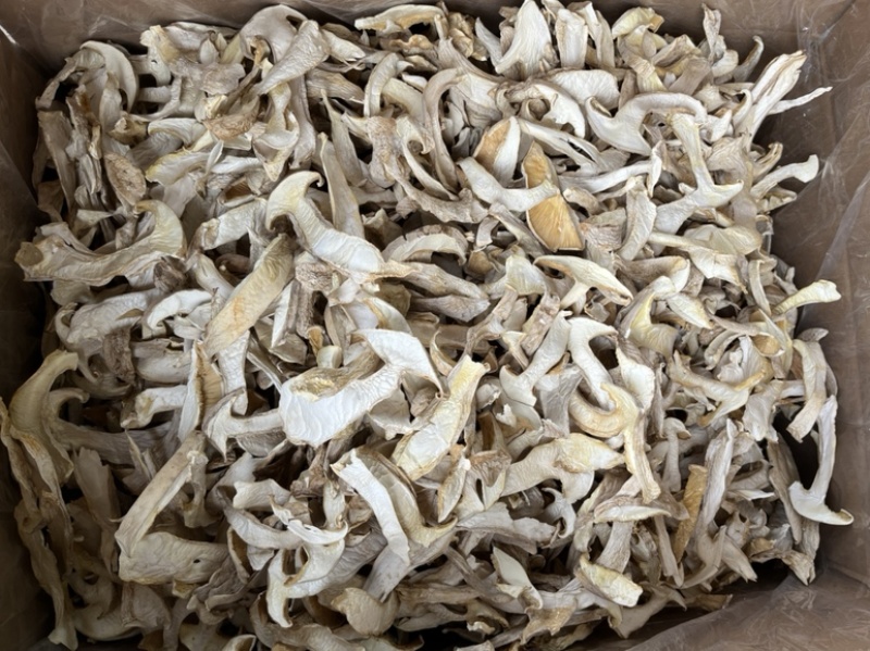 云南白松茸松茸干片