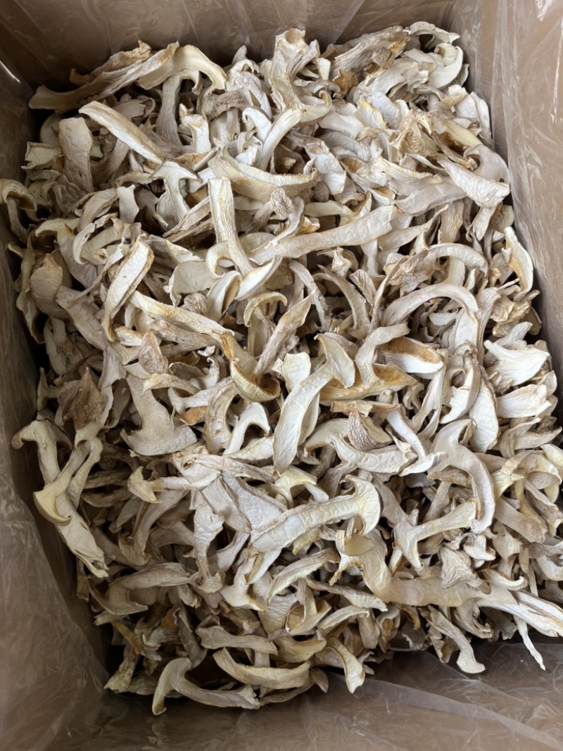 云南白松茸松茸干片