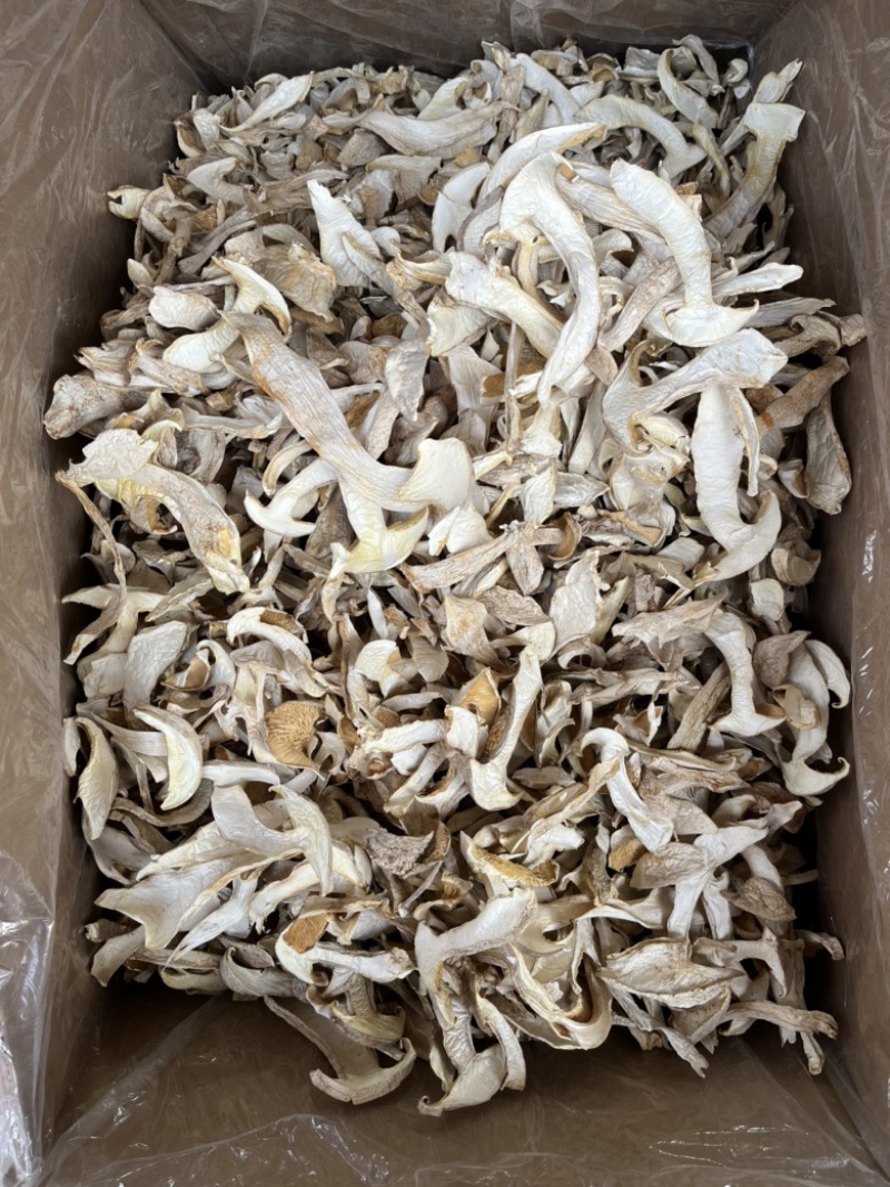 云南白松茸松茸干片