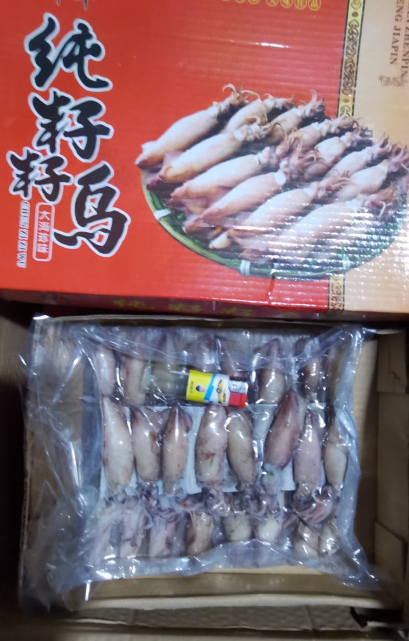 全籽籽乌，真空笔管鱼，一盒24只装！