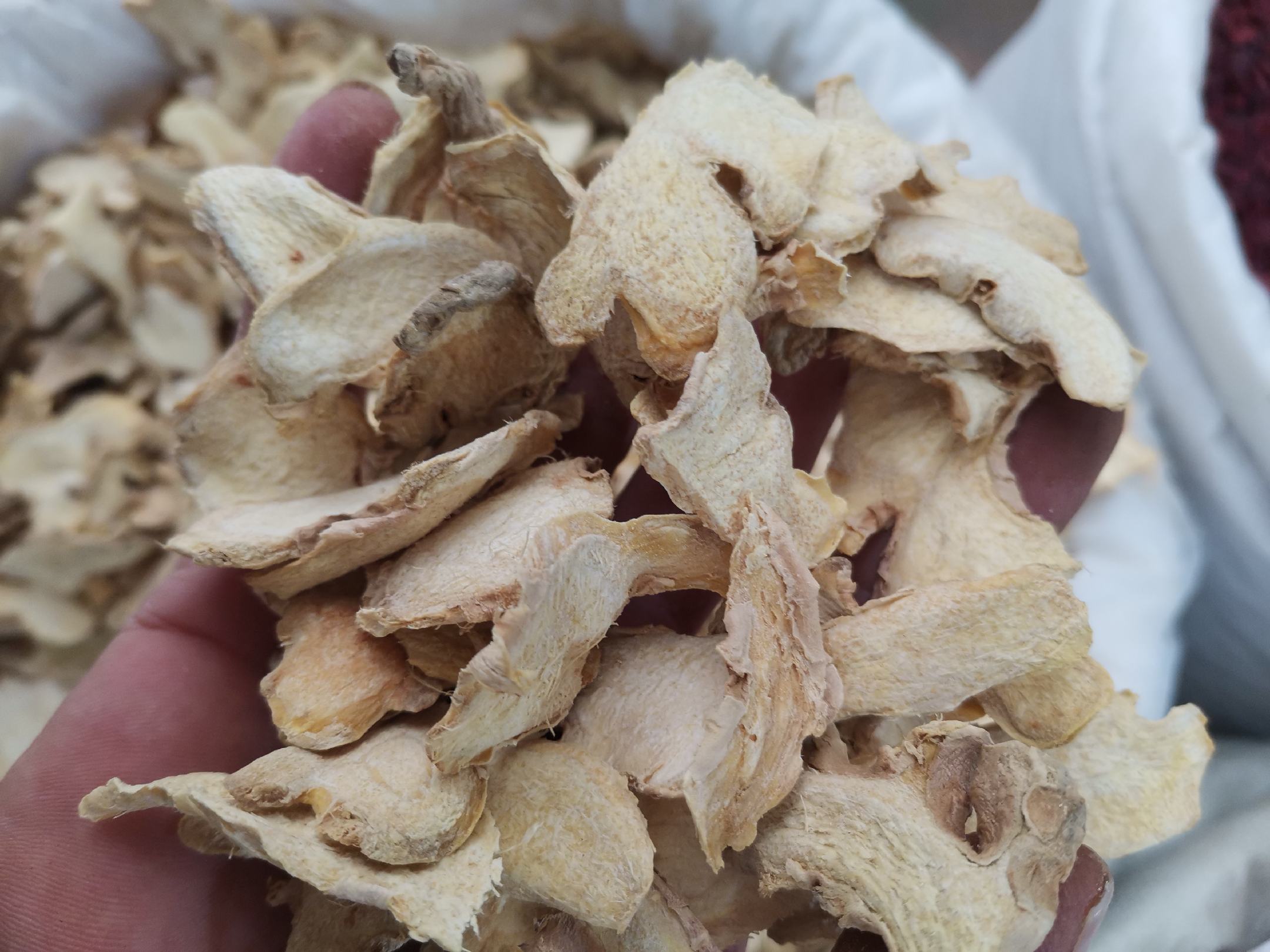 左侧展示小黄姜用于玻璃罐腌渍、茶杯泡饮、料理点缀;右侧展示火姜用于大锅炖煮、中药煎熬、工业研磨成粉。背景分别为现代厨房与传统药房环境 小黄姜与火姜在不同烹饪场景中的应用对比图